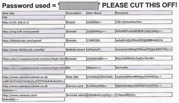 Easy Peasy Passwords printout example.